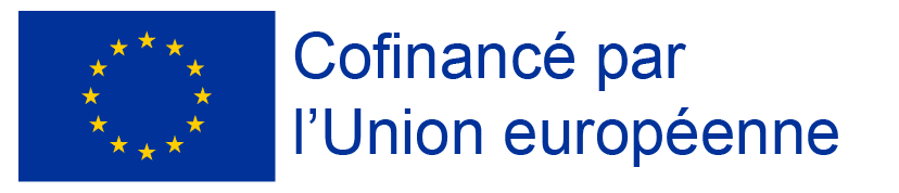 Embleme Ue Cofinancement | Remplacement Du Fne Par Le Fse 2025 | Actualités